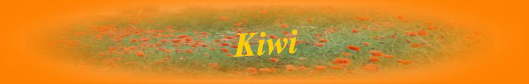Kiwi